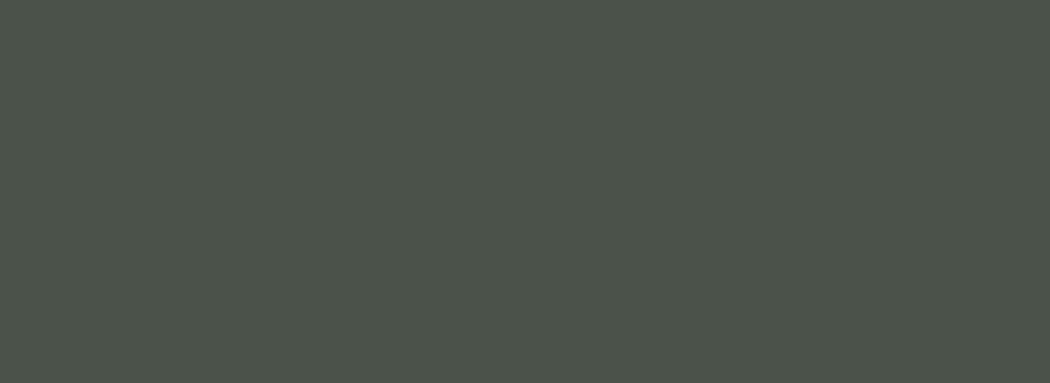 RAL 7009 gris vert