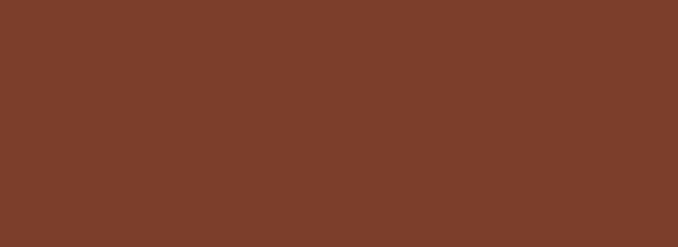 RAL 8024 brun beige